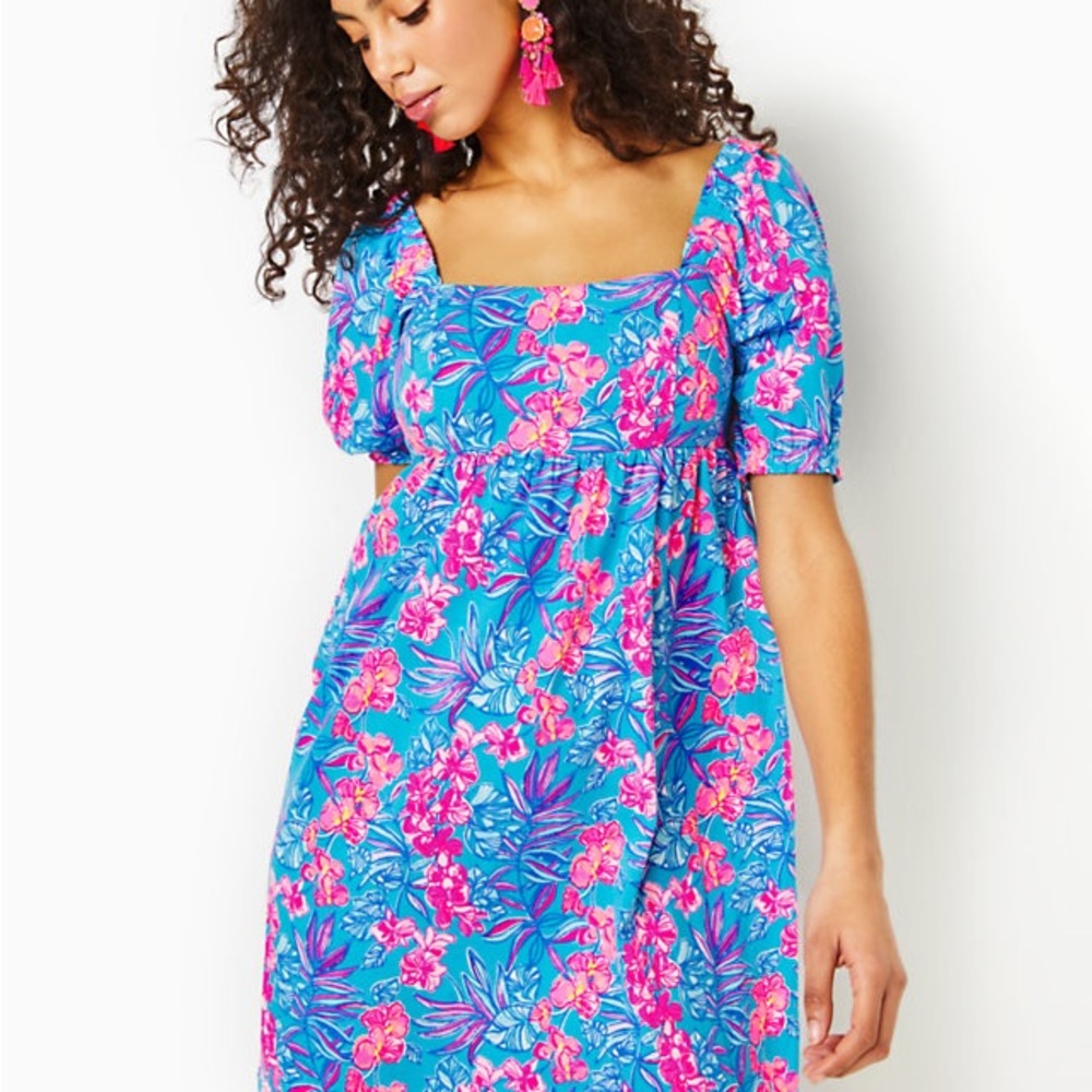 Lilly Pulitzer Delaney dress, NWT size 12